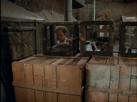 Name That Episode