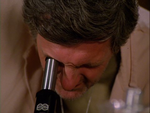 Name That Episode